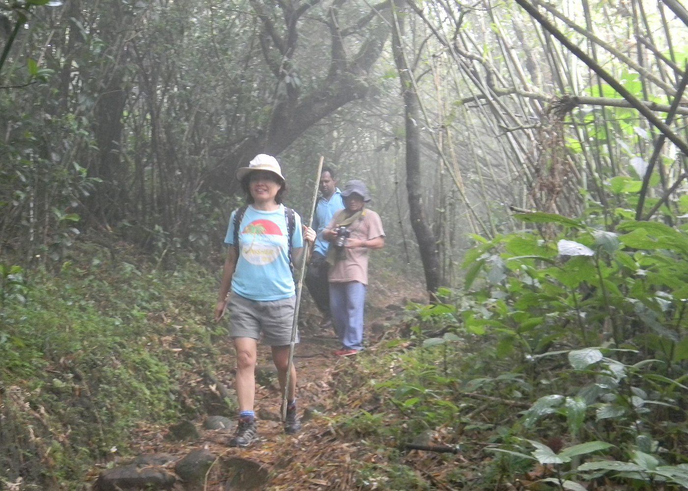 Knuckles Mountain Range